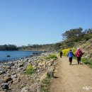 파도소리 이미지