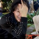 햄의 두번째 나고야 모험 : 지브리 파크를 다녀오다