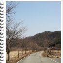 스노우밸리 이미지