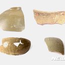 토성농장 이미지