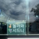 낙타와돌고래 | 시드니 [*프리미엄 1일투어] 포트스테판｜동물원+돌고래+모래썰매+와이너리 [놀러와 시드니]