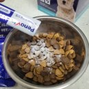 벳전문약국 이미지