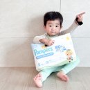 지동 324 ~ 지동 360-17 | 아기 여름기저귀 시기 땀띠 걱정없는 팸퍼스 팬티기저귀 추천