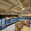 제주 애견 아가야 이미지