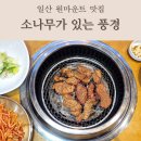 소나무가 있는 풍경 | 일산 원마운트 맛집 소나무가 있는 풍경 소풍 돼지갈비 맛집 후기