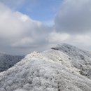 미리내산악회 제111차 정기산행(운장산) 및 시산제 안내 이미지