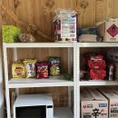 물한계곡 소나무펜션 | 물한계곡 소나무 펜션 &amp; 캠핑장 후기