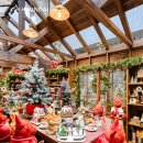 트라이브 | 대구 더현대 맛집 2025 11월 12월 크리스마스 팝업, 연말 느낌 나는 트라이브 방문 후기