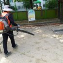 대구태암초등학교 이미지