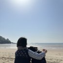 변산농장 네이버블로그
