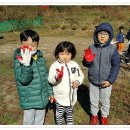 관기초교병설유치원 이미지