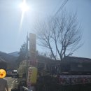 선암 | 순천 여행 선암사 맛집 선암식당 산채비빔밥 후기