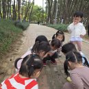 💚숲놀이)장항송림산림욕장에 가요♡ 이미지