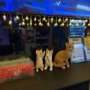 코코 코인 노래연습장 이미지