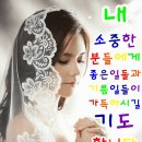 사랑하는 마음들이 닿을수만 있다면 이미지