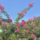 화원큰별유치원 이미지