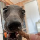 우식농장 이미지