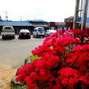 결성면 행정복지센터 화장실 이미지