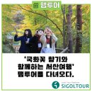 고북농장 | [시골투어] &#39;국화꽃향기와 함께하는 서산여행&#39; 팸투어를 다녀오다. #국화축제