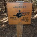 참손푸드(주) 네이버블로그