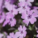 사랑이 머무는 둥지 이미지