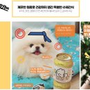 몰차이 이미지