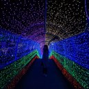 청도프로방스카라반 이미지