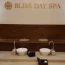 블리스데이(Bliss Day) 이미지