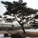 이화초교 이미지