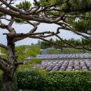 서일 농장 이미지