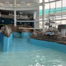 패밀리 워터파크 | 롯데리조트 22개월 아기랑 콘도 패밀리 트윈룸 솔직후기 (+워터파크, 인피니티 풀, 라라키즈 어드벤쳐)