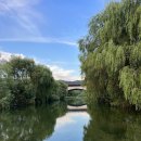 버드모아 이미지