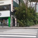 홍대 율촌 이미지