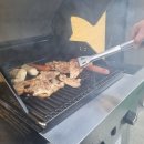 태안 알로하오에 애견풀빌라 이미지