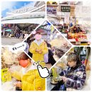 새시장약국 이미지