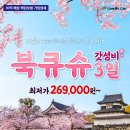 카멜리아 이미지