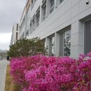 정위농장 이미지