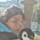 국립해양박물관 | 부산국립해양박물관 후기 아이와가볼만한부산 실내명소추천