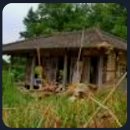 서호정-헌집 새집 놀러온 구렁이~~~~~~~~ 이미지