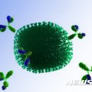N-1 이미지