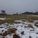 애향목장 이미지