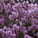 아름따다 이미지