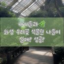 우리꽃식물원 | 화성 우리꽃 식물원 방문기🌸 기대 반, 현실 반 솔직후기!