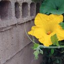 삼주1공인중개사사무소 이미지