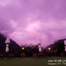 보라빛민박