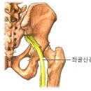 경희유엔한의원 이미지