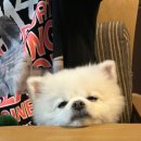 바다협주곡펜션 이미지