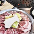 청춘고기 - 6902 | 청춘고기