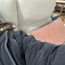 보통로 | [원주가구점] 원주에서 제일 큰 대형 가구점 방문 후기 :: 친절한 나나씨 원주본점