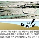 갯골수로1 이미지